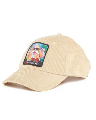 Gorra Dragon Ball Z Maestro tortuga Hydroponic - NUM wear