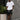 Bermuda Puro Loco de Loco Monky Black by LOCO MONKY